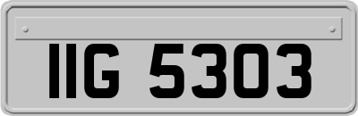 IIG5303