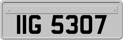 IIG5307