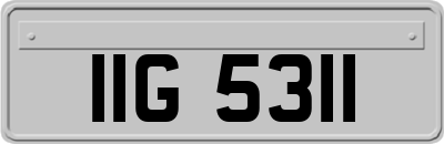 IIG5311