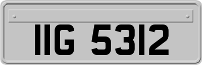 IIG5312
