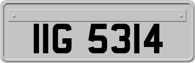 IIG5314
