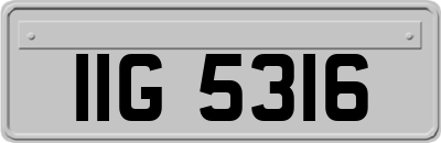 IIG5316