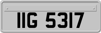 IIG5317