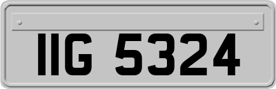IIG5324