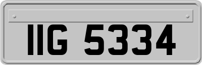 IIG5334