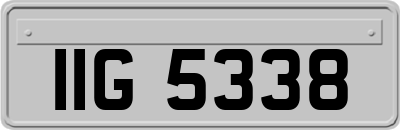 IIG5338
