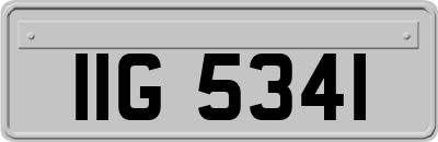 IIG5341