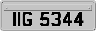 IIG5344