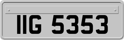 IIG5353