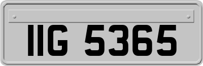 IIG5365