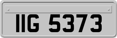 IIG5373