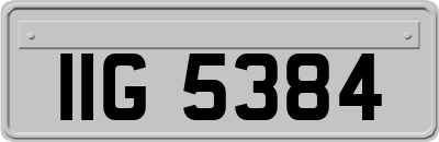 IIG5384