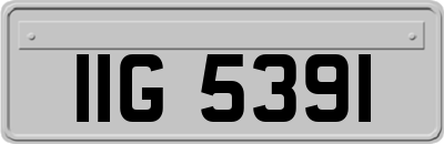 IIG5391