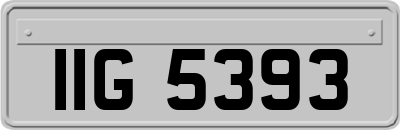 IIG5393
