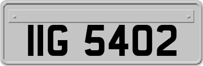 IIG5402