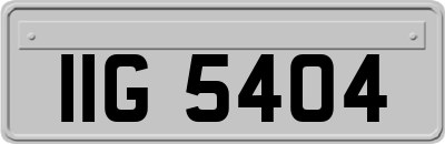 IIG5404