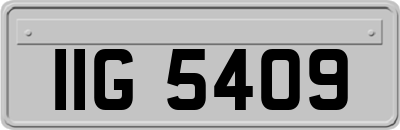 IIG5409