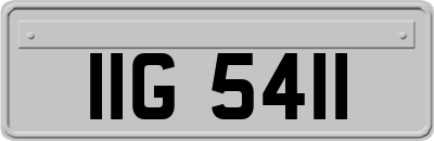 IIG5411