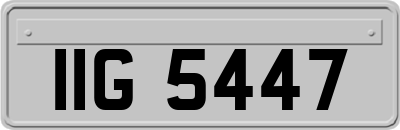 IIG5447