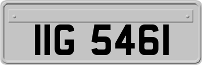 IIG5461