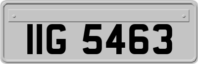 IIG5463