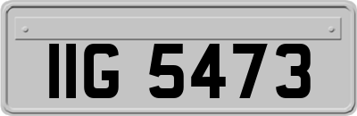 IIG5473