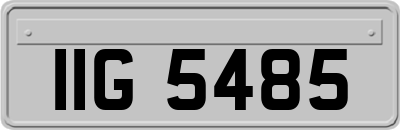IIG5485