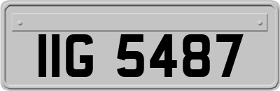 IIG5487