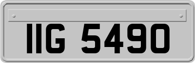 IIG5490