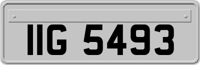 IIG5493