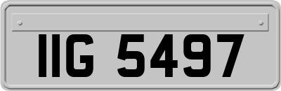 IIG5497