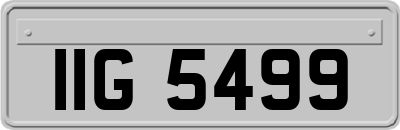 IIG5499