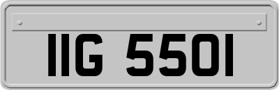IIG5501