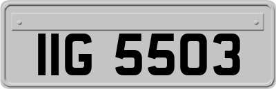 IIG5503