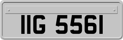 IIG5561