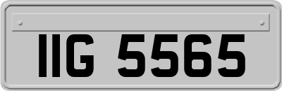 IIG5565