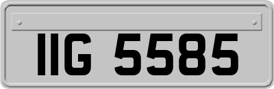 IIG5585