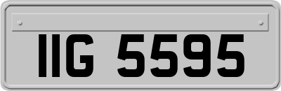 IIG5595