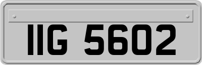 IIG5602