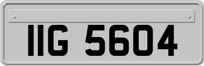IIG5604