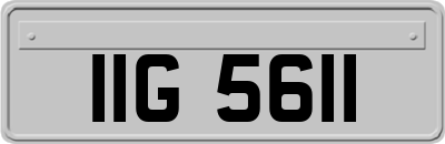 IIG5611