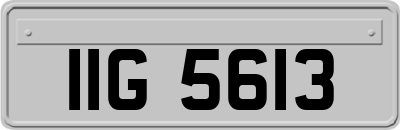 IIG5613