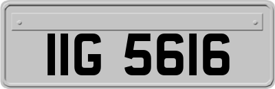 IIG5616