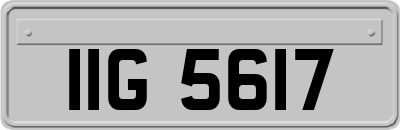 IIG5617