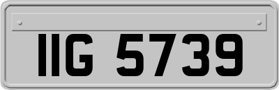 IIG5739