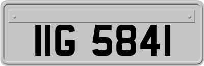 IIG5841