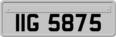 IIG5875