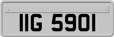 IIG5901