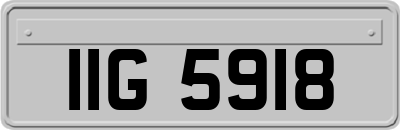 IIG5918