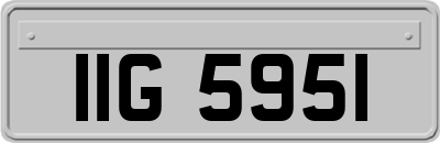 IIG5951